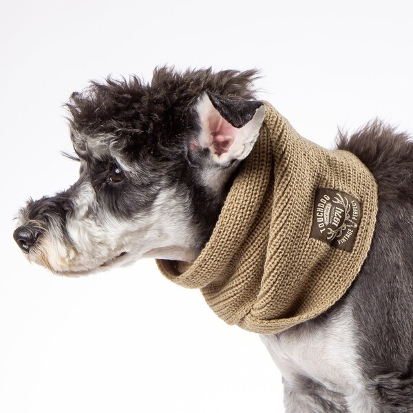 dog winter scarf