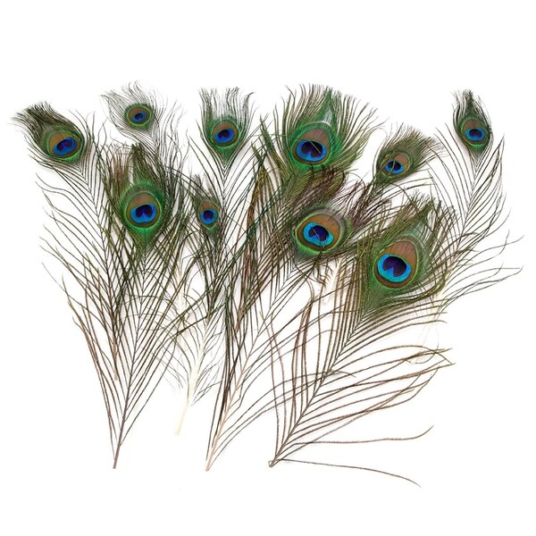10 x 30cm Natural Peacock Feather House Decoration