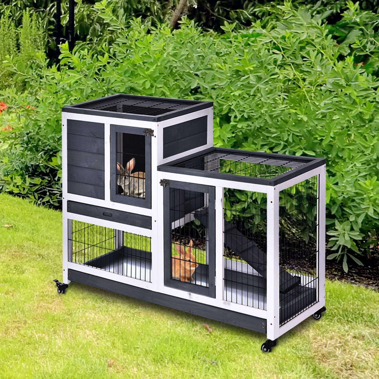 enclosed rabbit run