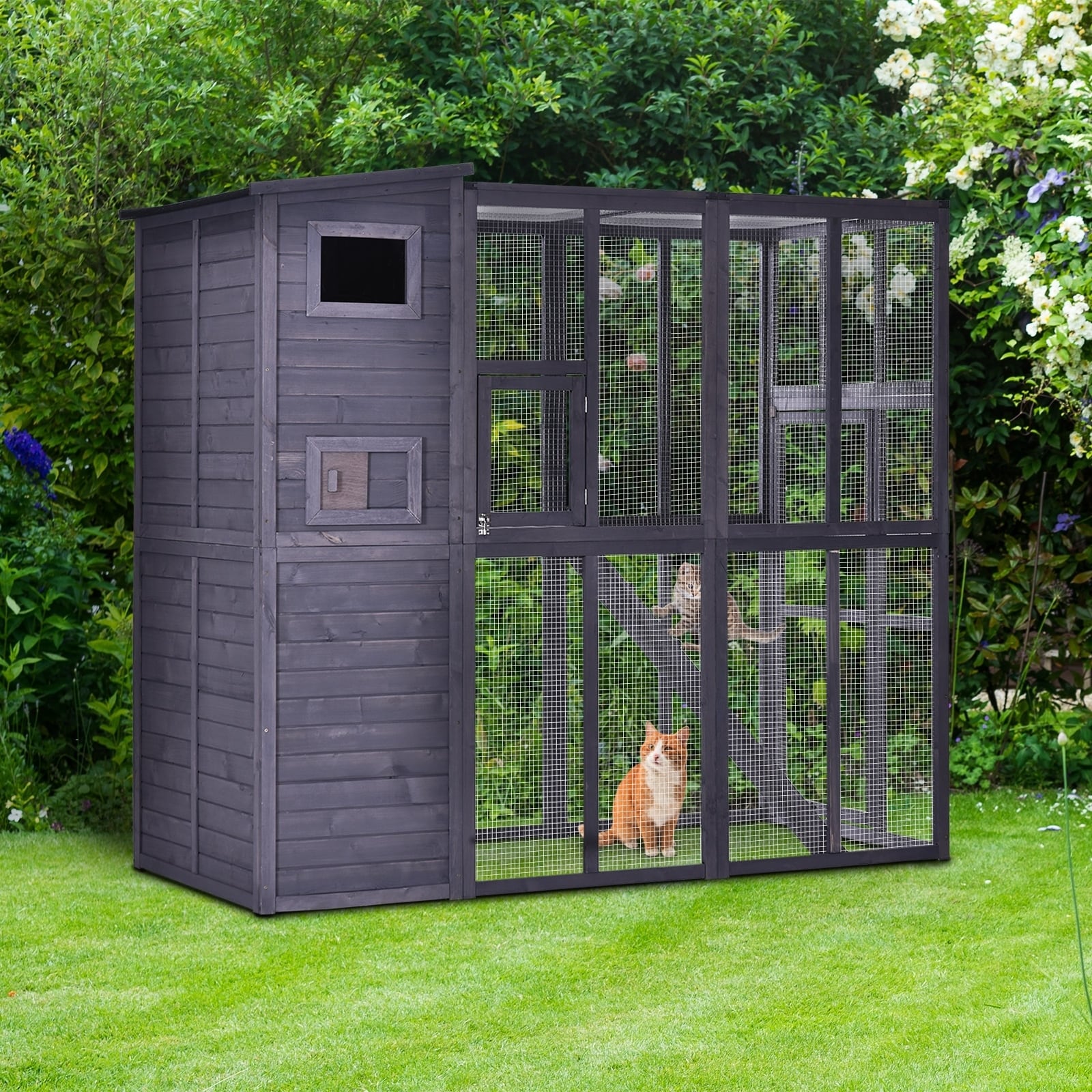 cheap outdoor cat house