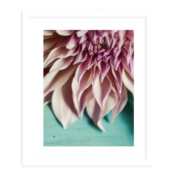 STILL LIFE OHIO NATURE FLOWERS White Framed Giclee Print By Olivia St. Claire