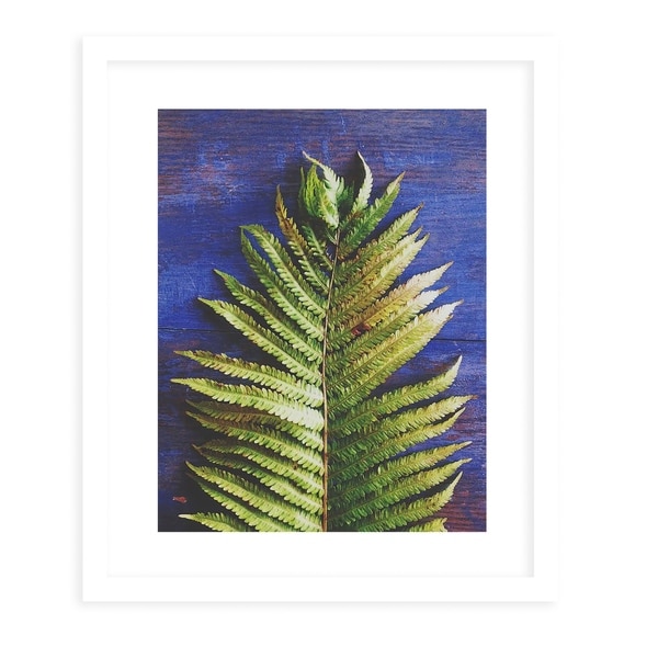 FERN White Framed Giclee Print By Olivia St. Claire
