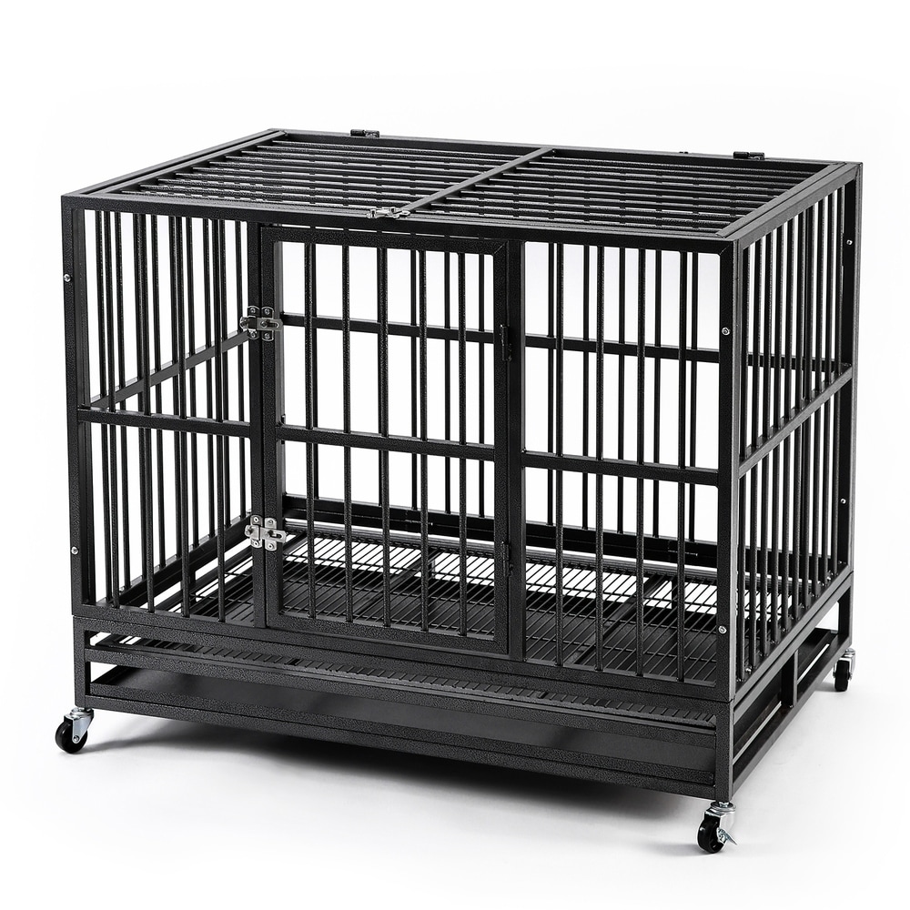 dog cage to buy