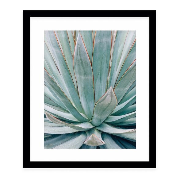AGAVE Black Framed Giclee Print By Ann Hudec