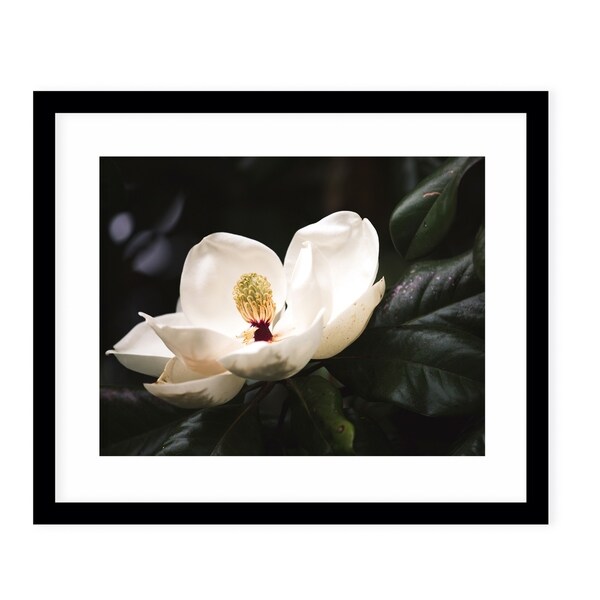 MAGNOLIA Black Framed Giclee Print By Ann Hudec