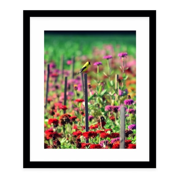 LIVE IN THE SUNSHINE Black Framed Giclee Print By Robin Delean