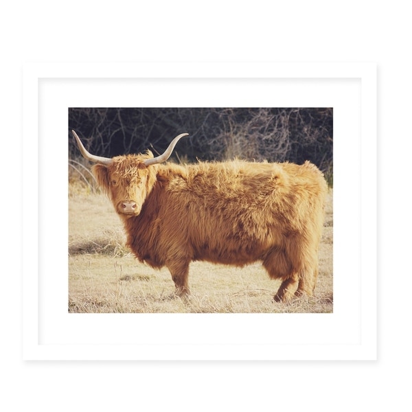 HIGHLAND White Framed Giclee Print By Robin Delean
