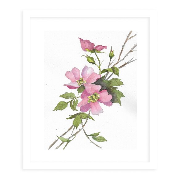 PINK ROSES White Framed Giclee Print By Jayne Conte