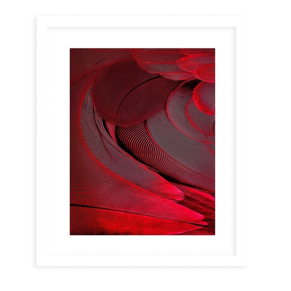 FEATHER RED White Framed Giclee Print By Diane Pattie