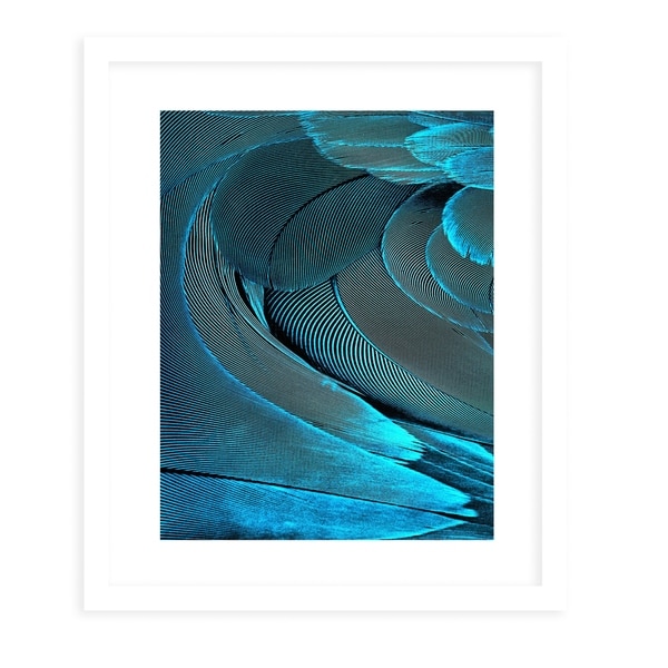 FEATHER AQUA White Framed Giclee Print By Diane Pattie