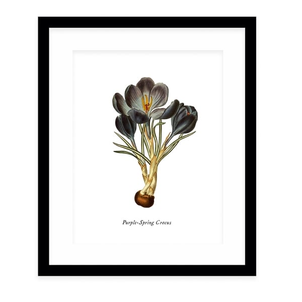 BOTANICAL FIVE Black Framed Giclee Print By Terri Ellis