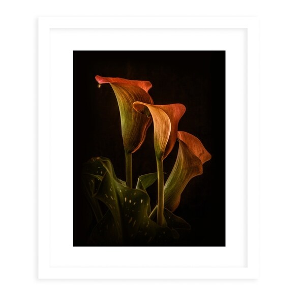 CALLA GOLD White Framed Giclee Print By Diane Pattie