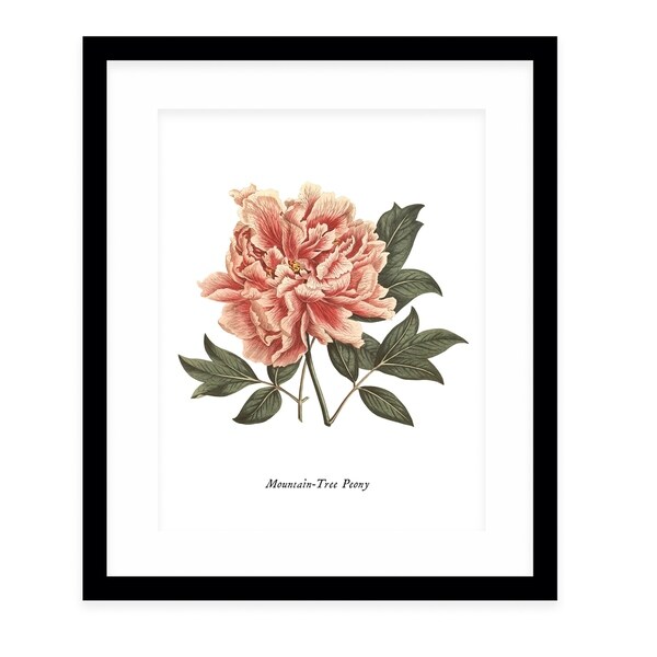 BOTANICAL FOUR Black Framed Giclee Print By Terri Ellis