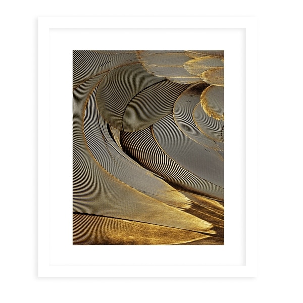 FEATHER GOLD White Framed Giclee Print By Diane Pattie