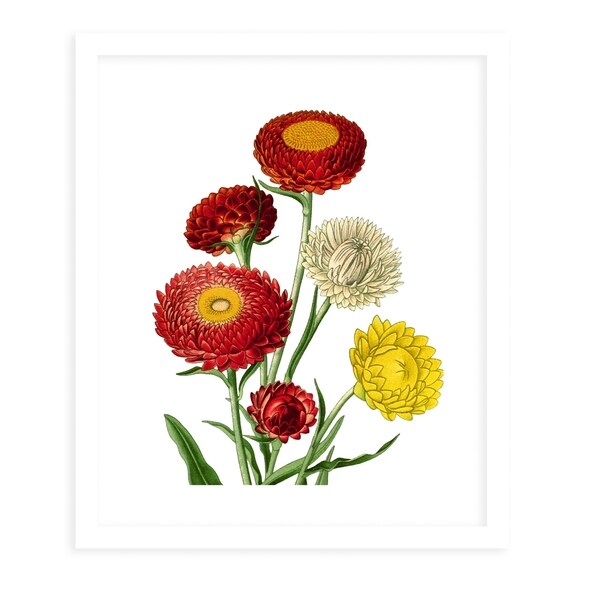 FLOWER TWENTY TWO WHITE White Framed Giclee Print By Terri Ellis