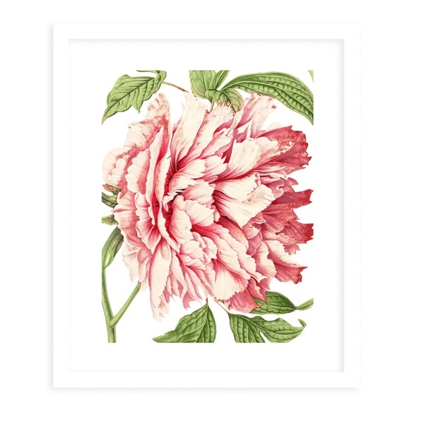 FLOWER FOURTEEN WHITE White Framed Giclee Print By Terri Ellis