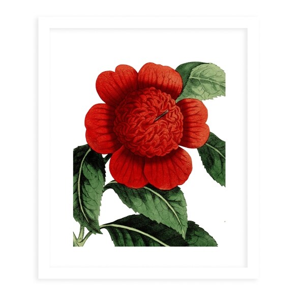 FLOWER SEVENTEEN WHITE White Framed Giclee Print By Terri Ellis