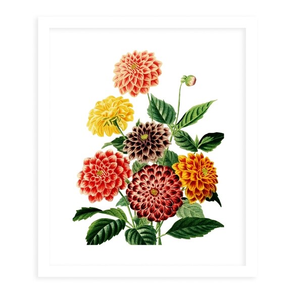 FLOWER TWENTY FIVE WHITE White Framed Giclee Print By Terri Ellis
