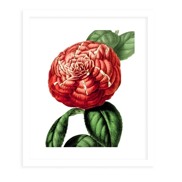 FLOWER TEN WHITE White Framed Giclee Print By Terri Ellis