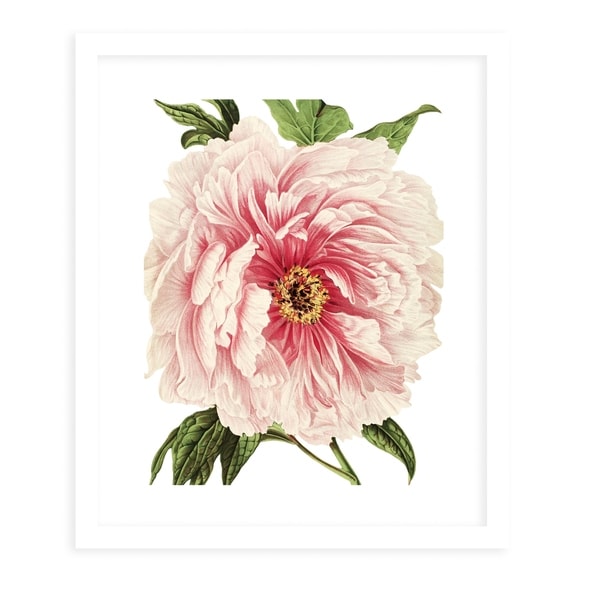 FLOWER THIRTEEN WHITE White Framed Giclee Print By Terri Ellis
