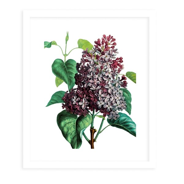 FLOWER TWENTY THREE WHITE White Framed Giclee Print by Kavka Designs. Opens flyout.