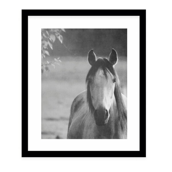 A NEW LIFE Black Framed Giclee Print By Robin Delean