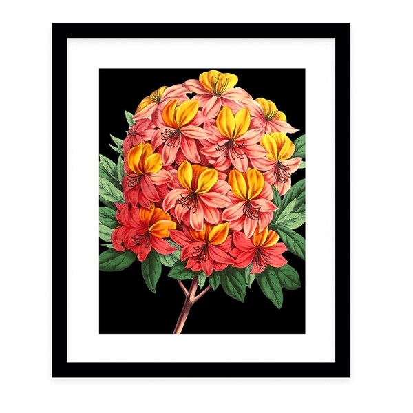FLOWER SIX BLACK Black Framed Giclee Print By Terri Ellis