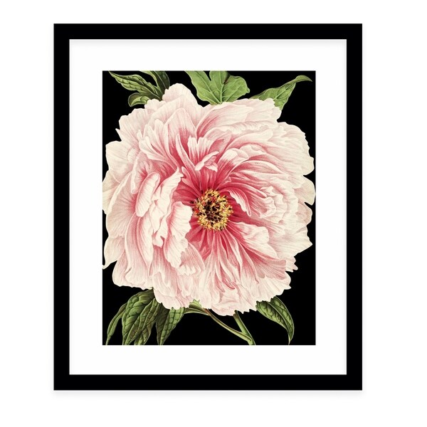 FLOWER THIRTEEN BLACK Black Framed Giclee Print By Terri Ellis