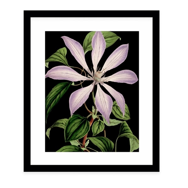 FLOWER ELEVEN BLACK Black Framed Giclee Print By Terri Ellis