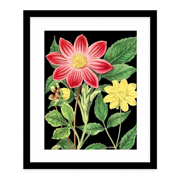 FLOWER SIXTEEN BLACK Black Framed Giclee Print By Terri Ellis