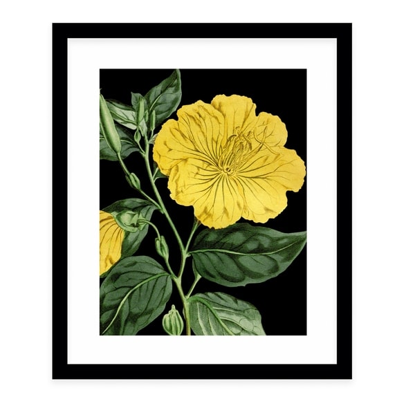 FLOWER EIGHTEEN BLACK Black Framed Giclee Print By Terri Ellis