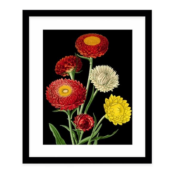 Shop Flower Twenty Two Black Black Framed Giclee Print By Kavka Designs Overstock 30725044