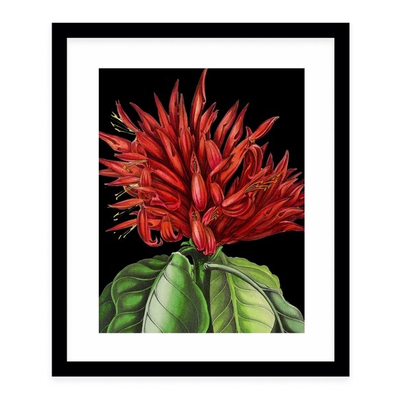FLOWER TWENTY ONE BLACK Black Framed Giclee Print By Terri Ellis