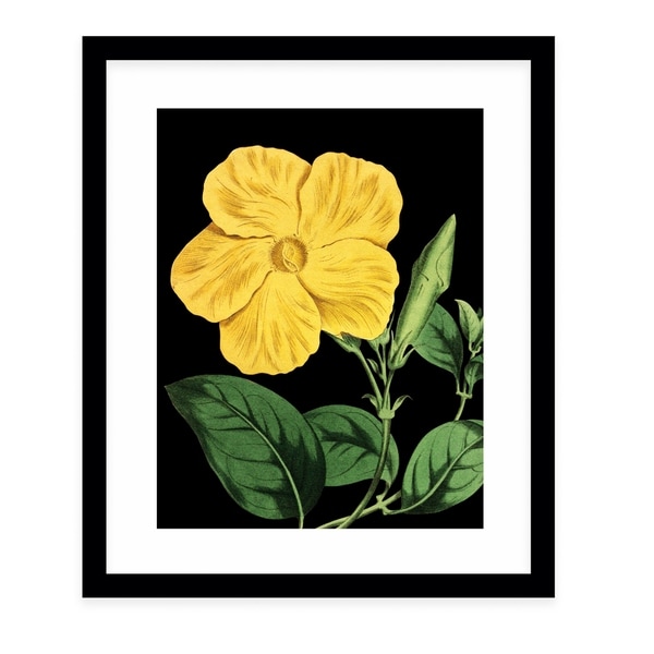 FLOWER TWENTY BLACK Black Framed Giclee Print By Terri Ellis