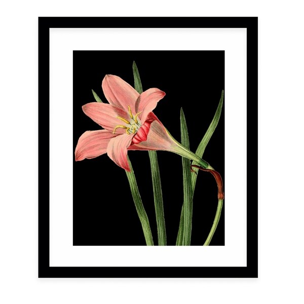 FLOWER TWENTY FOUR BLACK Black Framed Giclee Print By Terri Ellis