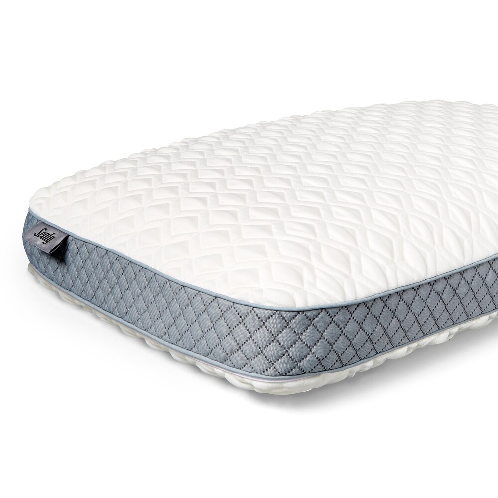 Shop Sealy Bed Pillows on DailyMail SealySealy Memory Foam Bed Pillow