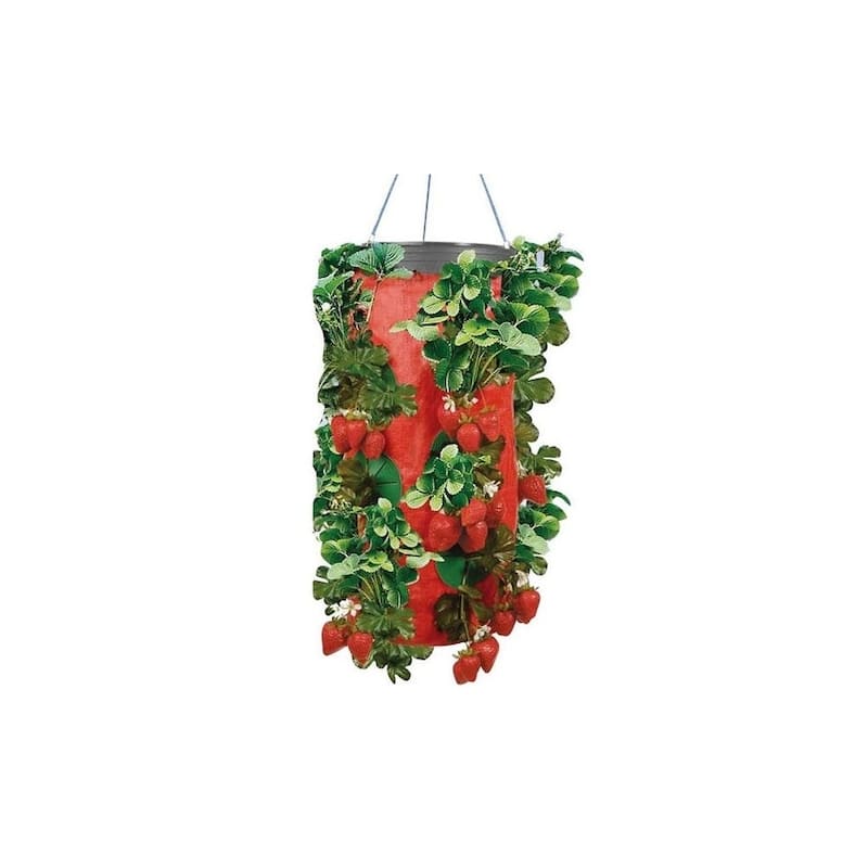 Vertical Strawberry & Herb Gardening Grow Bag Planter - Upside Down Herb Planter - N/A