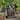 Esperanza Fountain by Christopher Knight Home