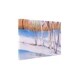 Birch Trees With Blue Shadows Canvas Art By Kavka Designs - Bed Bath 