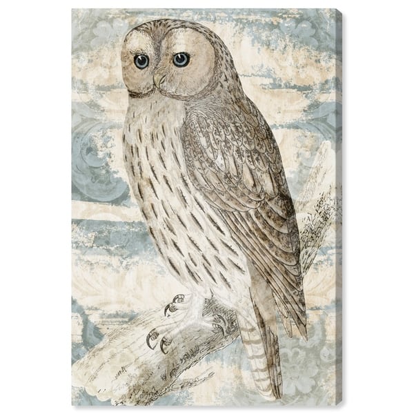 Oliver Gal Animals Wall Art Canvas Prints Vintage Owl Birds Brown White Overstock 30764748
