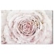 preview thumbnail 2 of 9, Oliver Gal Floral and Botanical Wall Art Canvas Prints 'Blush Winter Flower Dark Pink' Florals - Pink, Pink