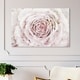 preview thumbnail 1 of 9, Oliver Gal Floral and Botanical Wall Art Canvas Prints 'Blush Winter Flower Dark Pink' Florals - Pink, Pink
