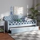 preview thumbnail 2 of 14, Freda Traditional and Transitional Upholstered Daybed with Trundle