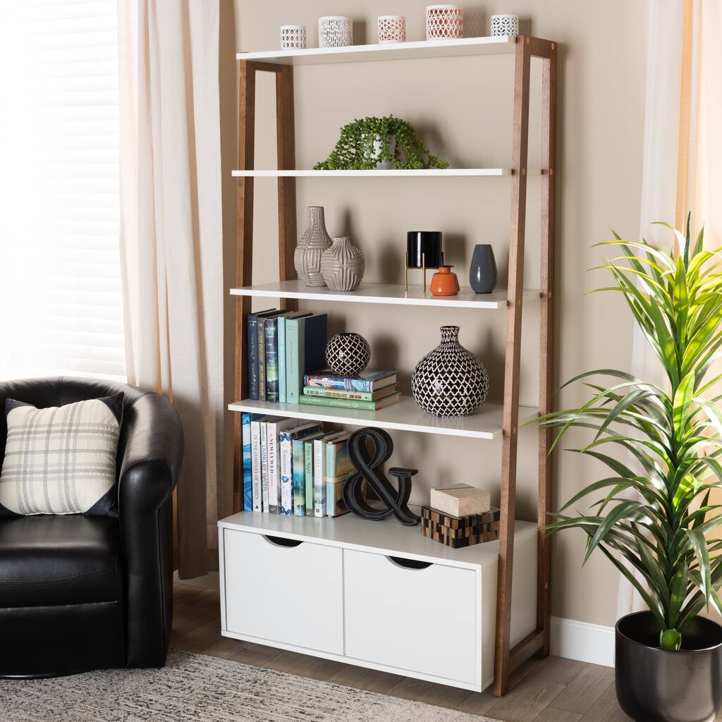 Carson Carrington Allen Modern and Contemporary 2-door Ladder Bookshelf