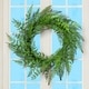 preview thumbnail 1 of 0, Fern Wreath 36"