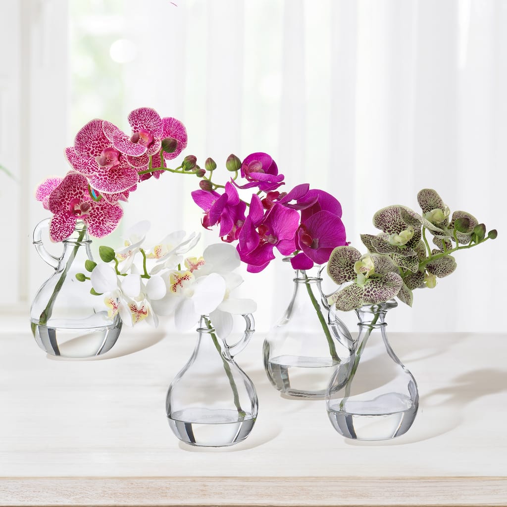 Phaleanopsis In Glass W Handle 9"