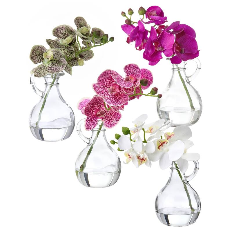 Phaleanopsis In Glass W Handle 9"