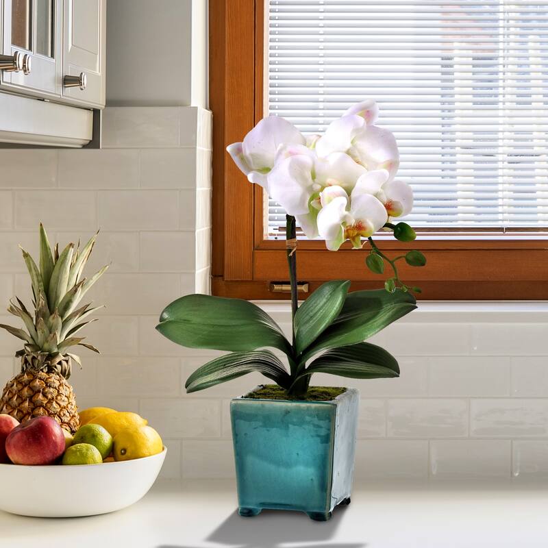Footed Pot Phaleanopsis 18"