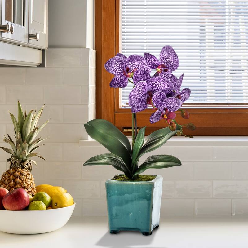Footed Pot Phaleanopsis 18"