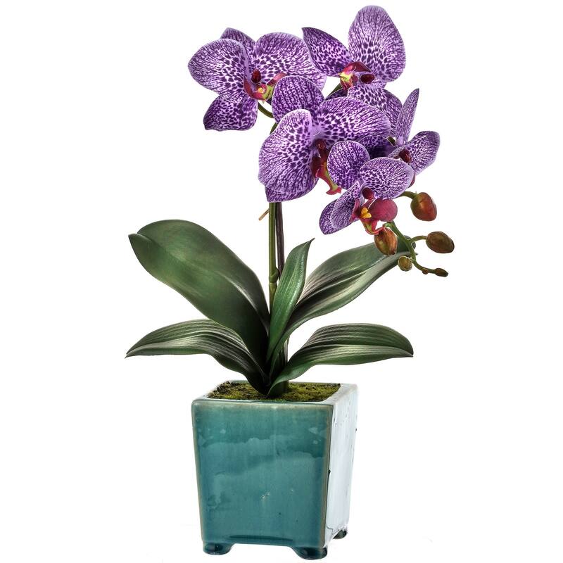 Footed Pot Phaleanopsis 18"